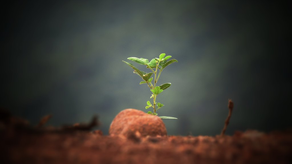 Why I focus on new and emerging&nbsp;leaders